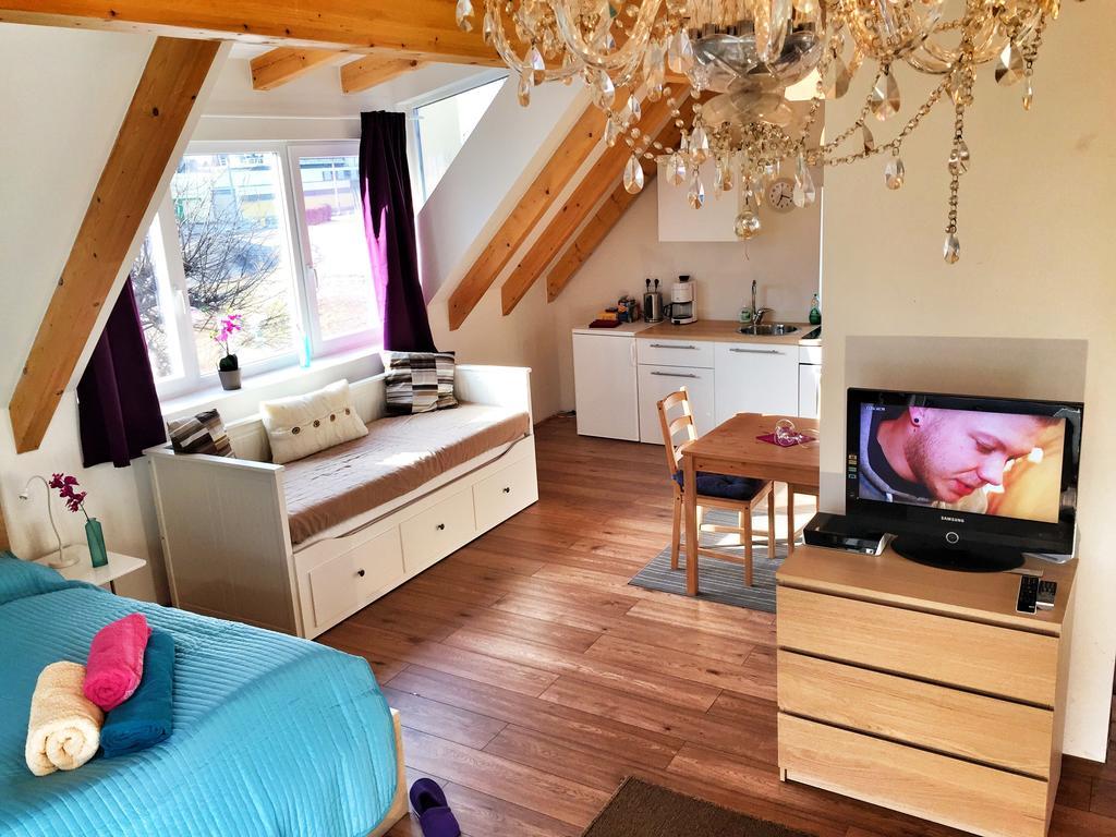 Book-A-Room Salzburg Apartment 5-6-7-8 Zimmer foto